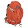 Kelty Womens Redwing 36L Daypack - Cinnamon Stick/Iceberg Green