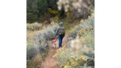 Kelty Linwood Backpack -Kelty Sales Store opplanet kelty linwood backpack burnt olive 22633423bov av 19